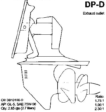DP-D picture