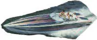 hott350xcut3jpgX1xx
