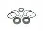 PQN 174 Kit reparo pistao volvo moderno